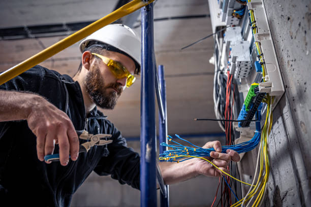 Best Electric Panel Repair  in Port Royal, SC